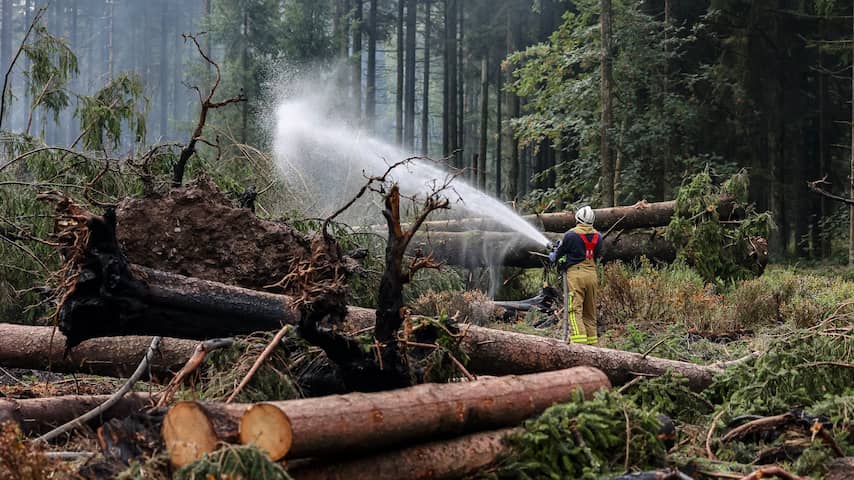 Natuurbrand in Hoge Venen volledig onder controle, zeldzame korhoen gered