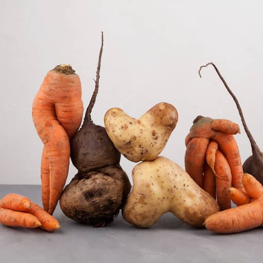 Illustratie bij: Het lelijke eendje van het land mag nog steeds niet in de groenteschappen