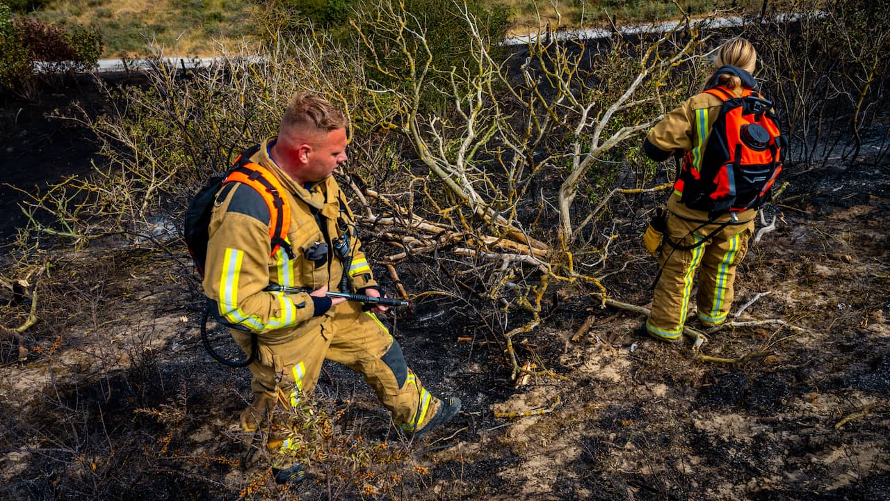 NL-Alert om uitbreidende duinbrand in Ouddorp, brandweerman gewond geraakt