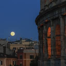 Paarden slaan op hol tijdens oefening in Rome door vuurwerk van politieagent