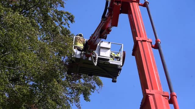 Brandweer haalt parachutist uit boom na eerste solosprong