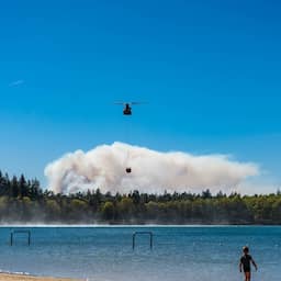 Brandweer heeft hele nacht geblust bij 't Harde: 'Op volle sterkte aanwezig'