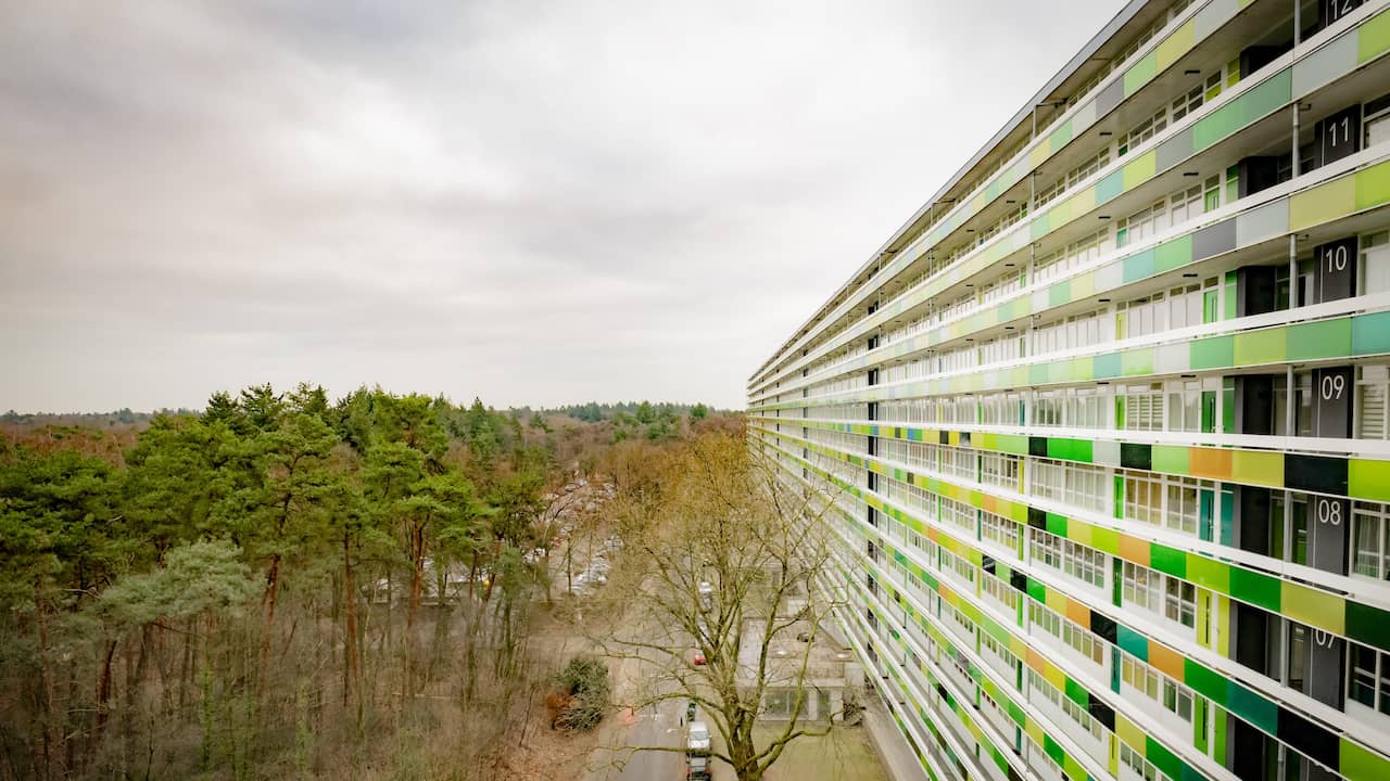 Bewoners flats Zeist mogen met niet meer dan drie mensen op instabiele balkons