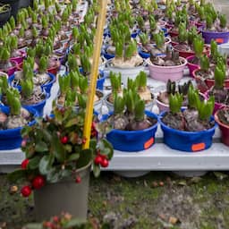 Vrouw kan niet naar toilet in tuincentrum, plast in emmer en giet inhoud over vloer