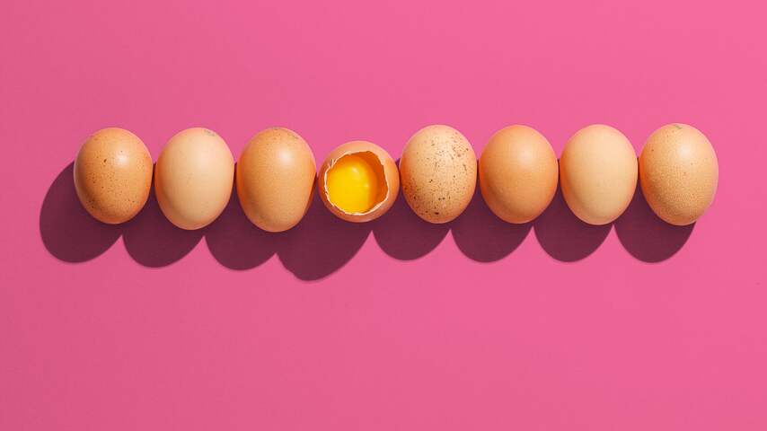 Deze eieren hebben niets te verbergen over hun herkomst | Eten en