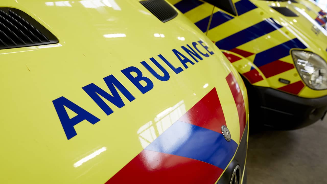 21-jarige vrouw omgekomen na ongeluk met stadsbus in Steenbergen