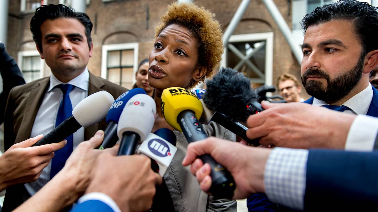 Sylvana Simons verlaat Denk en begint nieuwe partij | Politiek | NU.nl