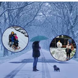 In beeld | Winters weer: besneeuwde tuinen, blije honden en veel sneeuwpoppen