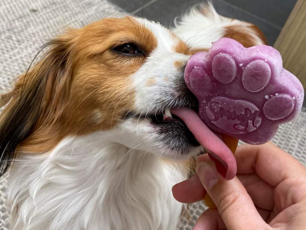 Weerbericht: Zon schijnt volop en het wordt 28 tot 34 graden