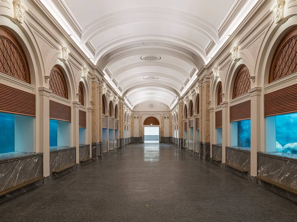 ARTIS voltooit na vier jaar restauratie van aquarium uit 1882: 'Oudste ter wereld'