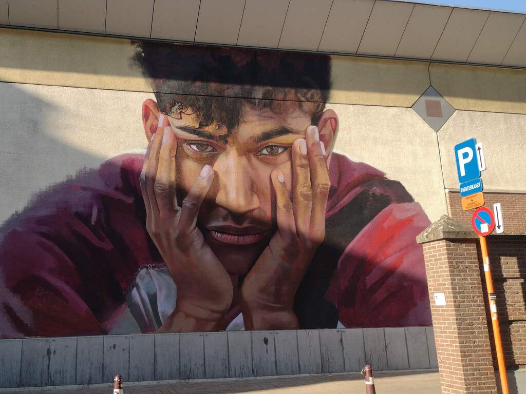 Belgische ontgroeners krijgen werkstraffen voor dood student Sanda Dia