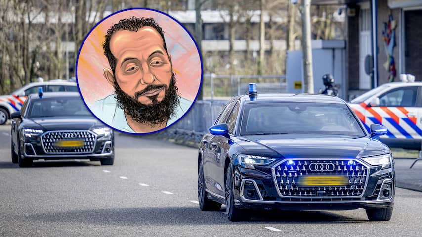 Anna Guryanovaning yalangoch mushuki