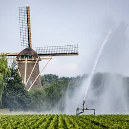 Ingrijpende maatregelen naderen door wekenlange droogte: 'Zitten op het randje'