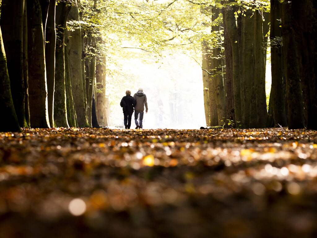 Weekweerbericht | Het wordt kletsnat en onstuimig, later droog en koel
