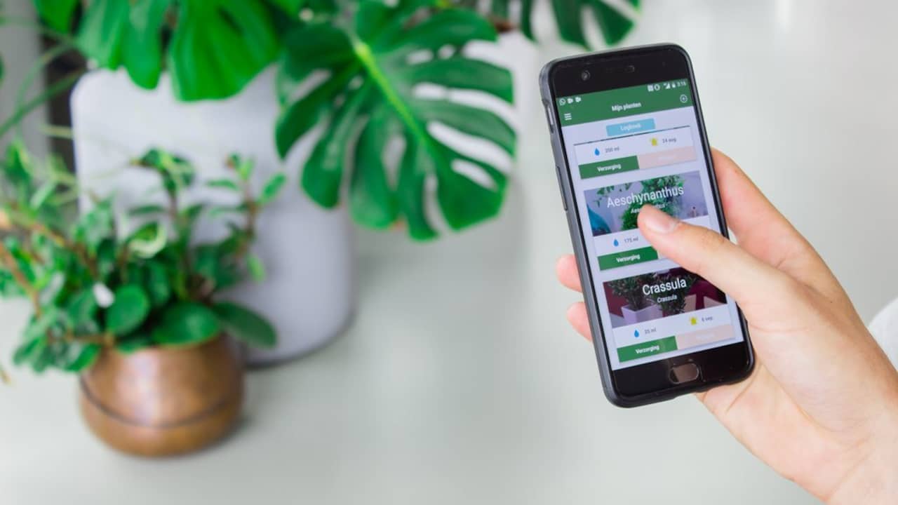 Drie apps die helpen bij het verzorgen van planten | Tech | NU.nl