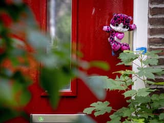 Inspectie snoeihard voor hulpverleners van mishandeld pleegmeisje Vlaardingen