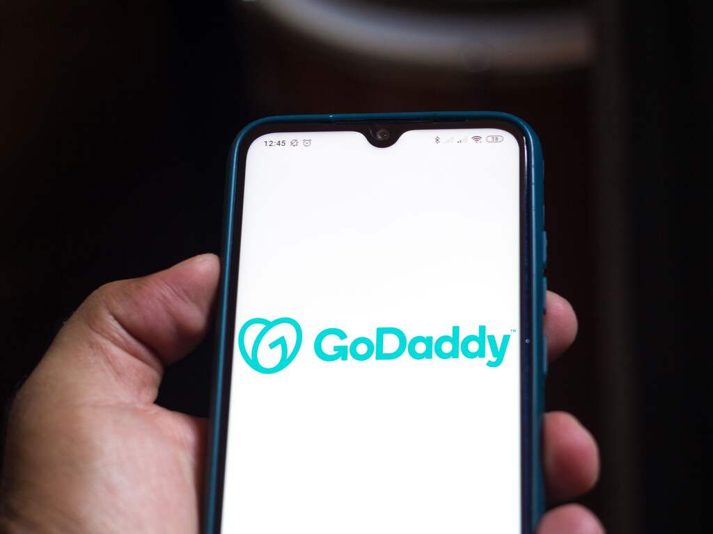 Webhost GoDaddy weert Texaanse verkliksite rond illegale abortus