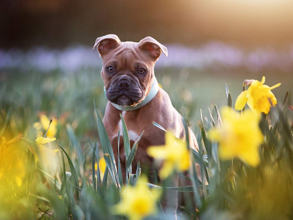 Weekendweerbericht | Felle zonsondergang en temperaturen tot wel 27 graden