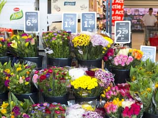Lidl verkoopt deze zomer als eerste supermarkt biologische bloemen