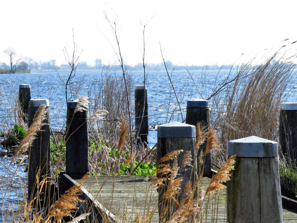 Zaterdag 28 maart: Een mooie, zonnige ochtend aan het Alkmaardermeer.