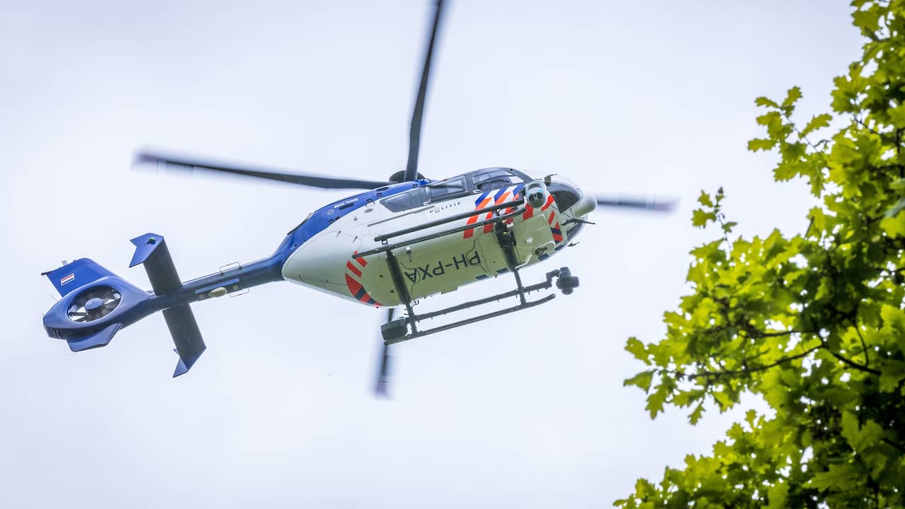 'Schoten stropers' in Limburgs bos blijken knallende ballonnen op feestje te zijn