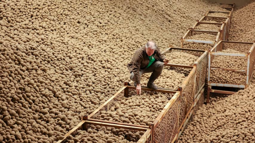 bewaarschuren-vol-met-aardappels-moeten-leeg-supermarkten-schieten-te-hulp.jpg