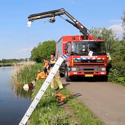 Video | Brandweer vist paard en wagen uit water bij Leidschendam