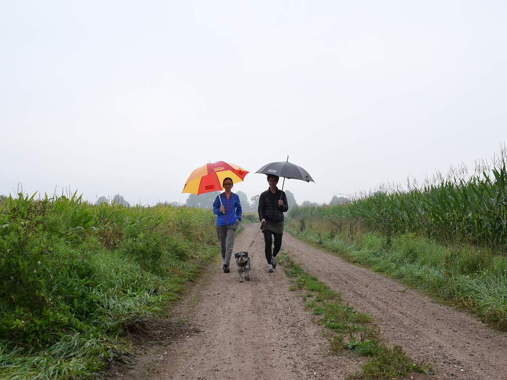 De extreme droogte in Nederland neemt nu echt af.