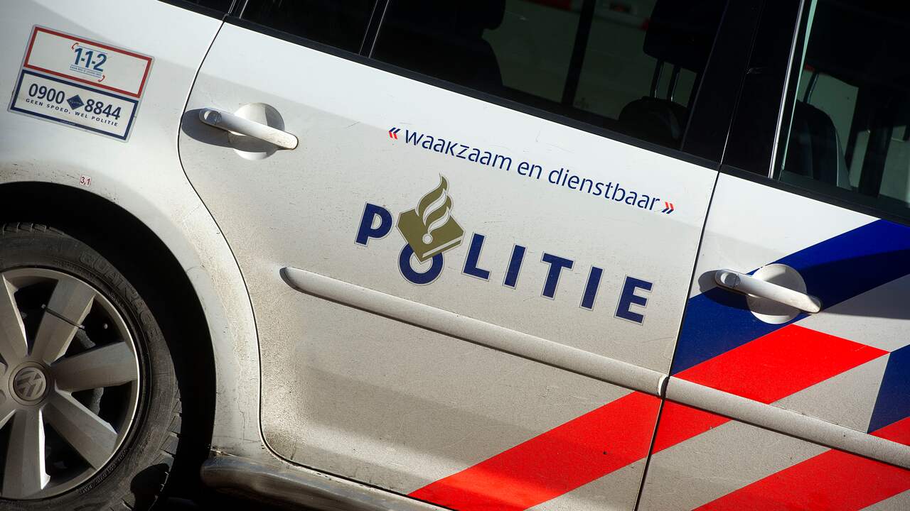 Automobilist (23) klapt tegen boom bij Aagtekerke