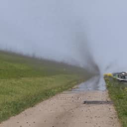 Video | Miljoenen muggen dansen in grote zwerm boven Afsluitdijk