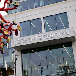 Sextortionverdachte geeft verkrachting 13-jarig meisje toe, zocht haar thuis op