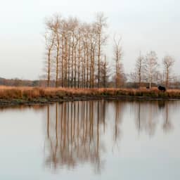 Eerste lokale vorstdag van het najaar in Eelde, drie weken later dan gebruikelijk
