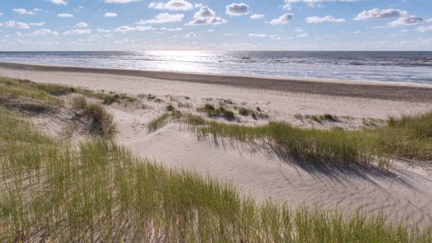 In 2023 op Texel aangespoelde lichaamsdelen blijken van Afghaanse mannen
