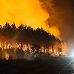 Live natuurbranden Europa | 'Ergste bosbrand in geschiedenis van Madrid'