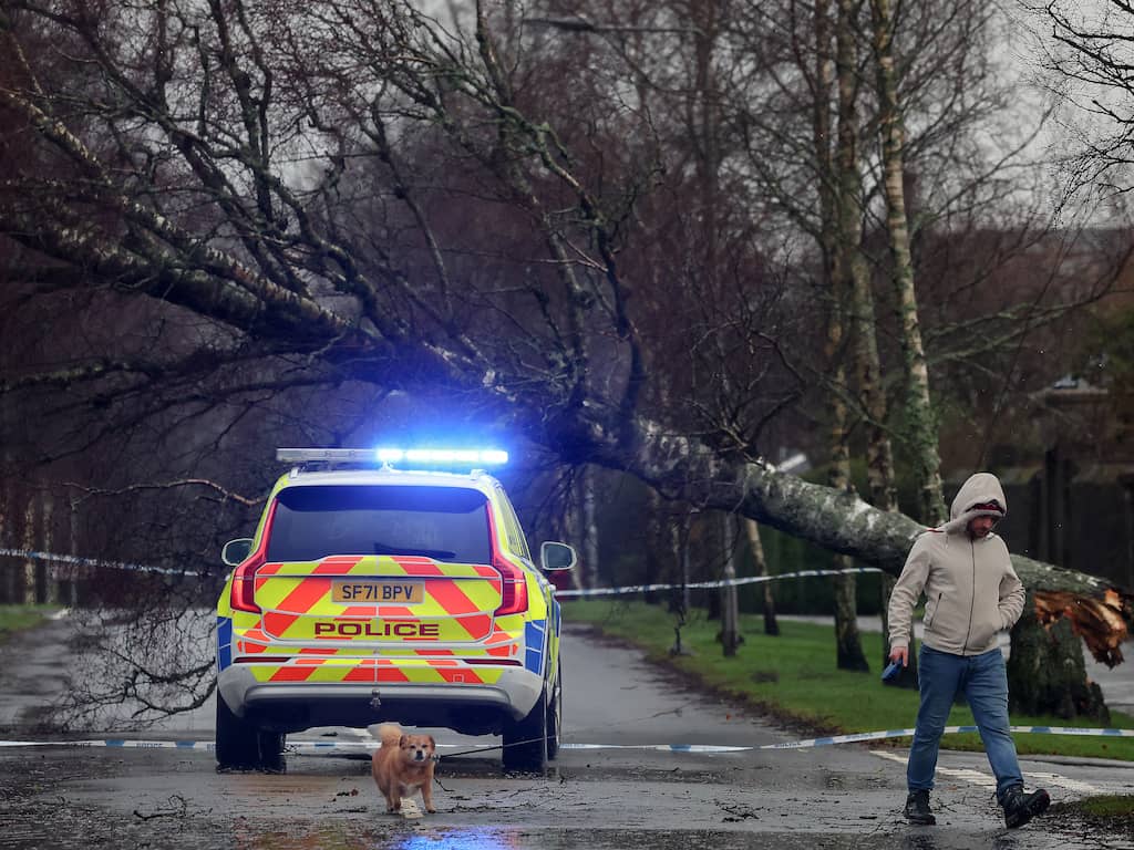 Storm Éowyn eist dode in Ierland: boom valt op auto met bestuurder erin