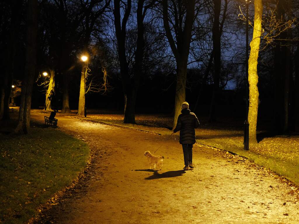 Foto ter illustratie