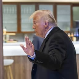 Live Europa en VS | Trump: 'Boodschap aan Poetin is dat oorlog moet stoppen'