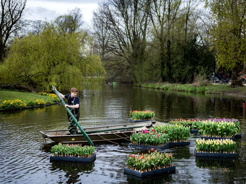 Weerbericht | Goede Vrijdag begint regenachtig, maar later wordt het zonnig