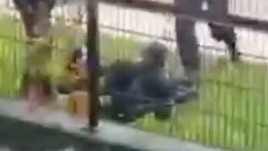 De politie in Den Haag onderzoekt deze video