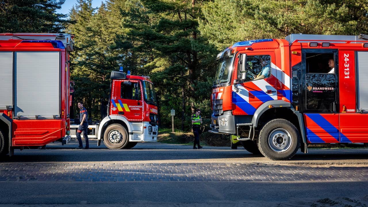 Live natuurbanden | Asielzoekers kunnen terug naar azc Budel na draaien wind