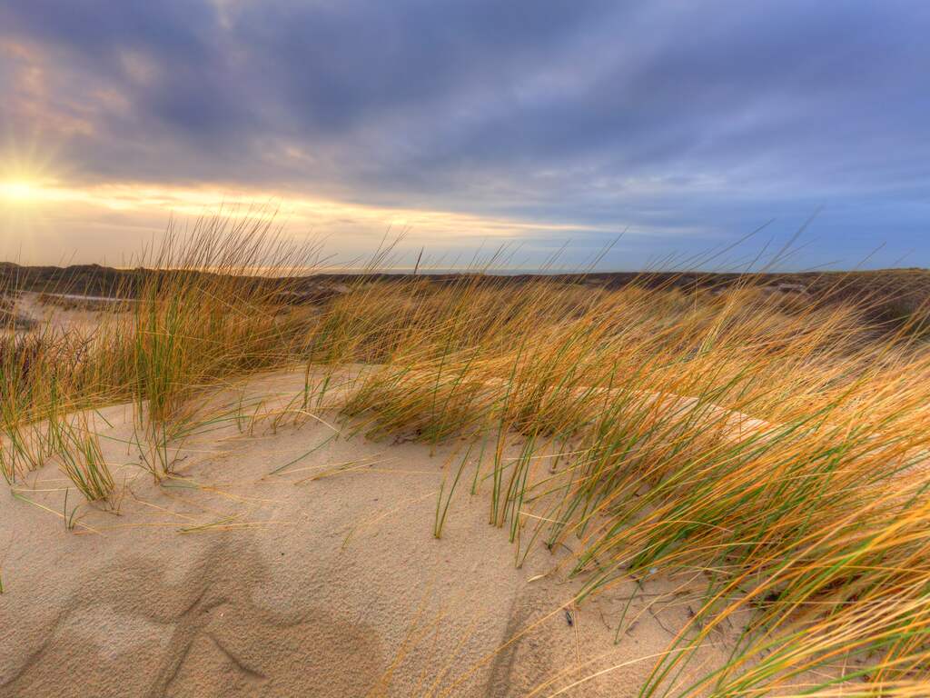 Weerbericht | Grotendeels droog en regelmatig zon