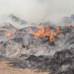 Video | Flinke rookwolken in Drenthe door brand in grote hoop groenafval