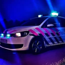 Man aangehouden omdat hij opzettelijk inreed op agent in Den Bosch