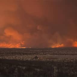 Brand verwoest groot deel van een van grootste nationale parken van Namibië