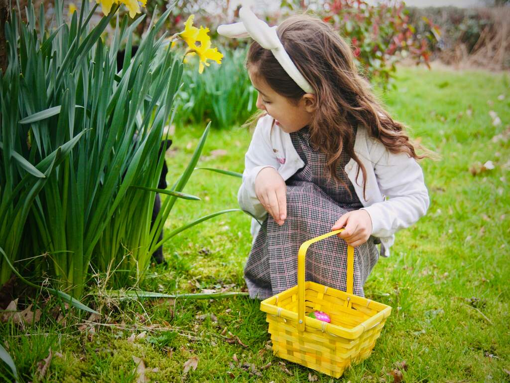 Weekweerbericht | Buiten paaseieren zoeken moet mogelijk tussen buien door