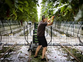 Steeds meer arbeidsmigranten in Nederland; we kunnen (nu) niet zonder
