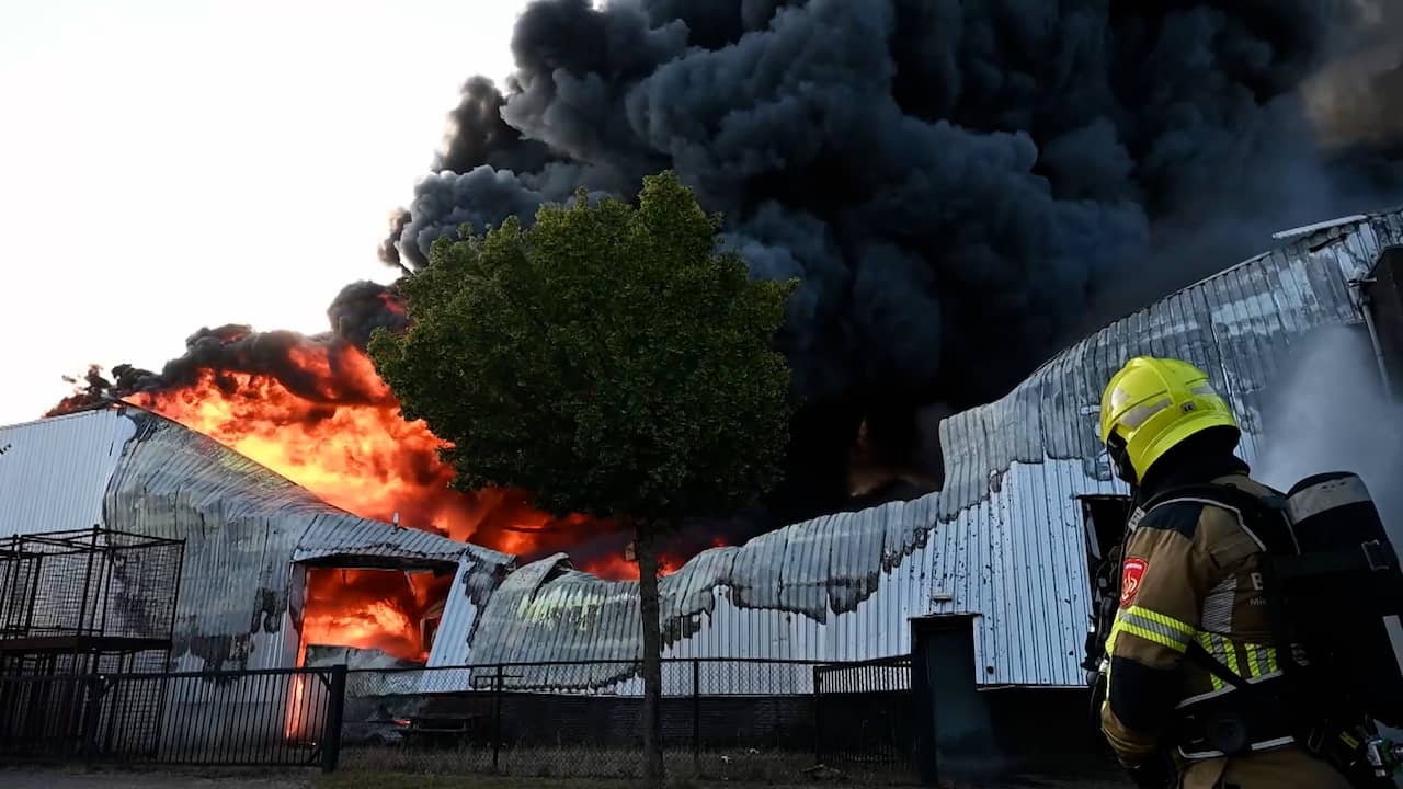 Video | Vlammen slaan uit bedrijfspand in Brabantse plaats Udenhout
