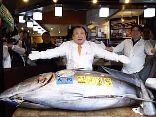 Japanse sushiketen betaalt bijna 3 miljoen euro voor tonijn en verpulvert record