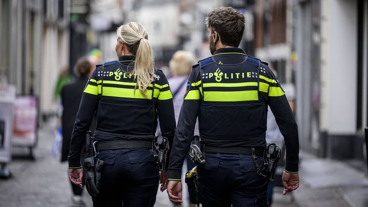 Automobilist meldt zich bij politie na vondst lichaam langs weg bij Hazeldonk
