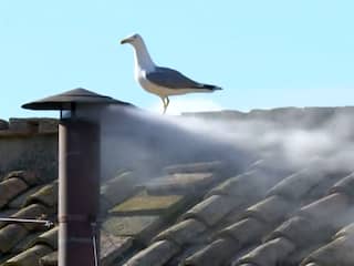 Nieuwe paus: witte rook stijgt op uit Sixtijnse Kapel